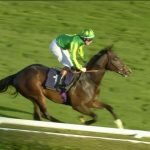 Royal Ascot 2YO? Brave Nation is RAPID at Doncaster on debut!