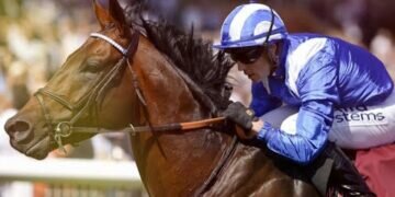 Baaeed, set to sparkle at Royal Ascot 2022!