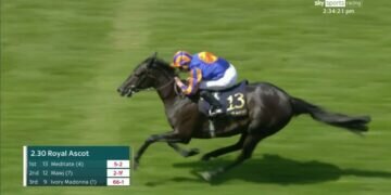 Big filly to follow! MEDITATE wins for Aidan O'Brien and Ryan Moore at Royal Ascot