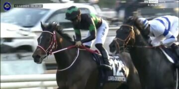 Japanese superstar! Loves Only You wins the G1 Hong Kong Cup